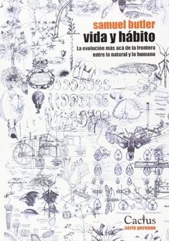 Vida y habito