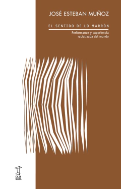 El sentido de lo marrón - Performance y experiencia racializada del mundo