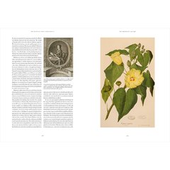 Joseph Banks' Florilegium - Botanical Treasures from Cook's First Voyage - Falena