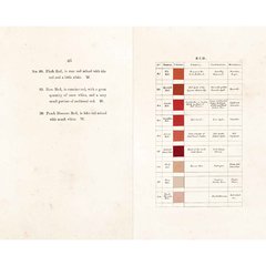 Werner’s Nomenclature of Colours - Adapted to Zoology, Botany, Chemistry, Mineralogy, Anatomy, and the Arts - Falena