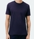 Camiseta Hering 0201