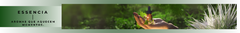 Banner da categoria Essências