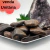 Pedra Rolada - Bronzita - comprar online