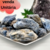 Pedra Bruta - Cianita Azul - comprar online