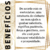Elefante Decorativo - A - comprar online