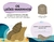 Abremente Mini: Animais do Oceano - comprar online