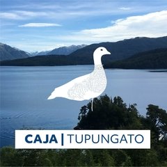 CAJA TUPUNGATO en internet
