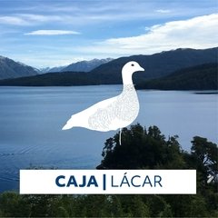 CAJA LÁCAR - comprar online
