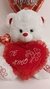 Combo Peluche XXXL Oso Bordado + Corazón con Helio - comprar online