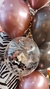 Maxi Bouquet de Diseño Animal Print Zebra en internet