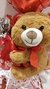Combo Tadeo Rojo - Caja 16x16 con Oso + Globo con Helio en internet