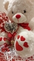 Combo Teodoro - Caja 30 con Oso de Peluche Grande - comprar online