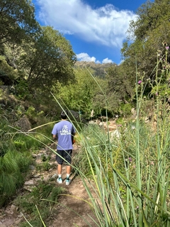 Imagen de REMERA MUTUKA LILA