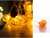 luces calabaza en internet