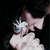 spider vvefff