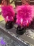 polainas gloomy bear - comprar online