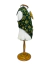 Colete Natalino Para Pets Smoking Verde - comprar online