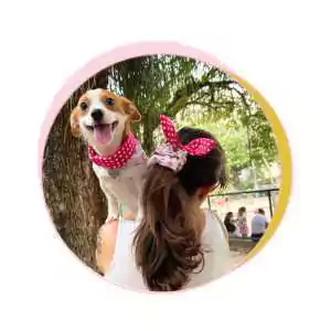 Marca 5 de Mascotas Moda Pet - A Marca de Moda do Pet Feliz