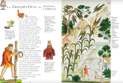 Incas en internet