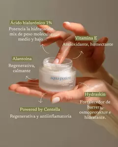 HIDRATANTE LIVIANA - Aqua Potion - comprar online