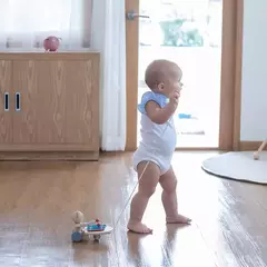 OSO MUSICAL - Juego de arrastre en madera