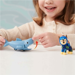 ¡AQUA PUPS! Paw Patrol