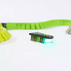 INSECTO ROBÓTICO ¡Con pista de obstáculos! - LeBebot.com