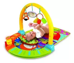 GIMNASIO PARA BEBÉS ¡5 En 1!