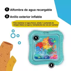 ALFOMBRA DE AGUA- Peces