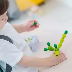 Imagen de CACTUS EQUILIBRANTE ¡Que no se caiga!