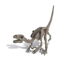KIT DE MANUALIDADES - Esqueleto Dinosaurio "4M" - LeBebot.com