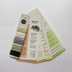 Imagen de KIT DE BORDADO ANIMALES AUTOCTONOS "MULITA"