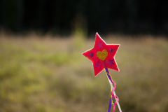 KIT PARA CREAR "MI CAPA DE PRINCESA" - comprar online