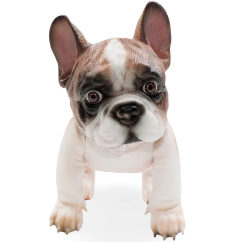 ¡CHOCOLATE! Bulldog Francés