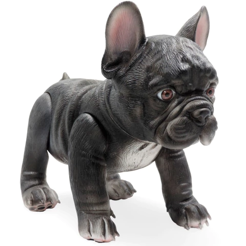 ¡BLACKY! Bulldog Francés