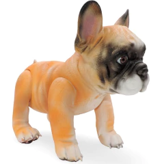 ¡CANDY! Bulldog Francés