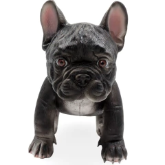 ¡BLACKY! Bulldog Francés en internet