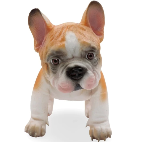 ¡ZUNI! Bulldog Francés