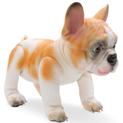 ¡ZUNI! Bulldog Francés en internet