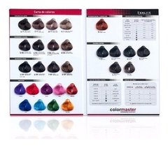 Tintura Color Master x60gr (precio por unidad) - tienda online