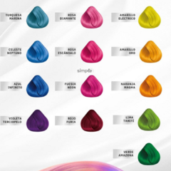 Tintura Color Master FANTASY x60gr (precio por unidad) en internet