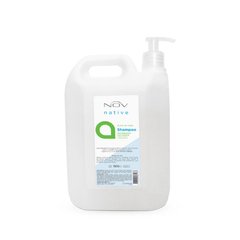 Nov - Shampoo (Bidón 2l) Native A. Con aceite de Argán