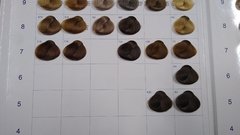 Imagen de Plasma - Tintura 60ml