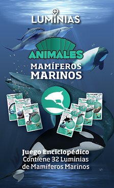 Mamiferos marinos en internet