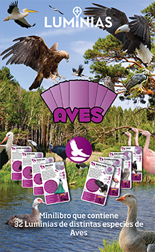 Aves en internet