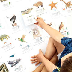 Flashcards Cartas de Aprendizaje Animales de Argentina en internet