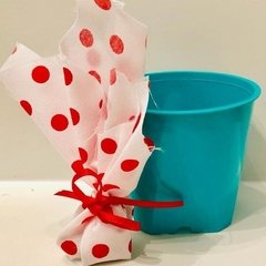 Kit de jardineria - comprar online