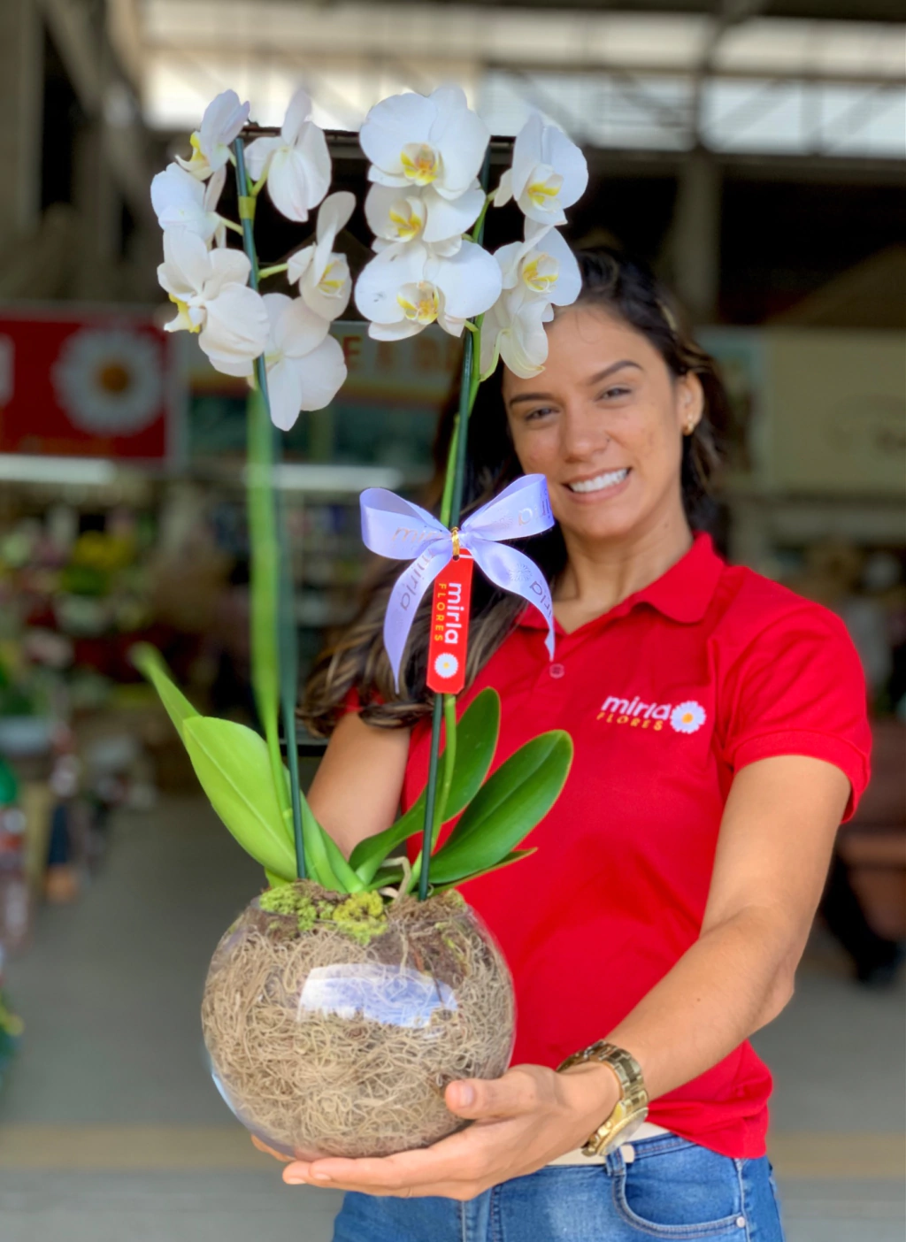 Orquidea no vaso de Vidro