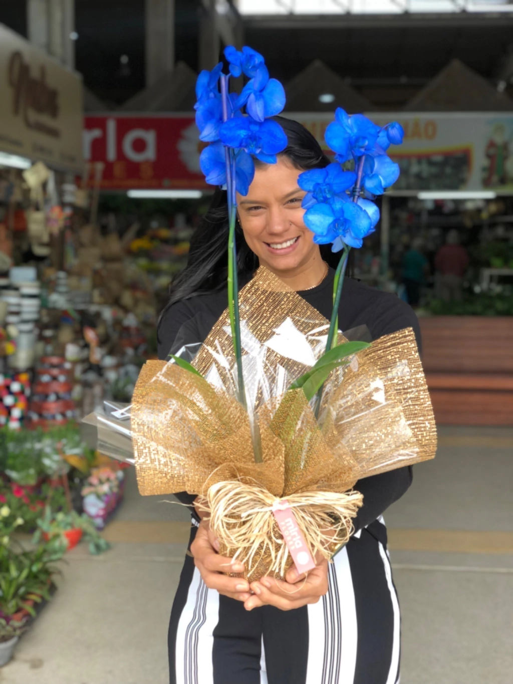 ORQUIDEA AZUL