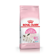 ROYAL CANIN MOTHER & BABY CAT